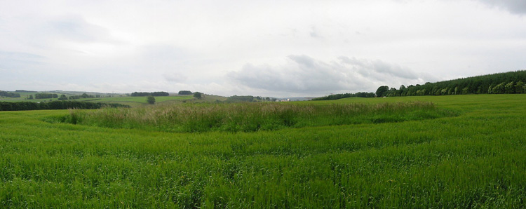 Shapbeck Plantation