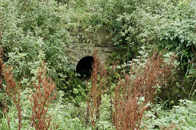 St Patrick's Well (Aspatria)