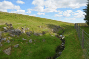 St Anne's Well (Shap) - PID:247072