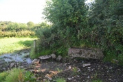 St Ninian's Well (Brisco) - PID:169463