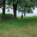 Long Meg And Her Daughters - PID:246261