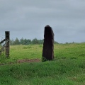 Long Meg And Her Daughters - PID:246260
