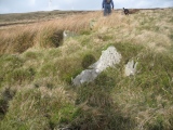 The Kirk Ring Cairn - PID:129530