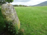 Castlerigg W - PID:169427