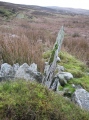 The Kirk Ring Cairn - PID:129537