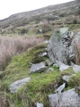 The Kirk Ring Cairn - PID:129539