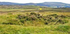 Rasett Hill Round Cairn - PID:168053