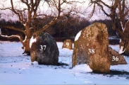 Long Meg and Her Daughters - PID:14628