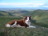 Great Mell Fell Tumulus - PID:211912