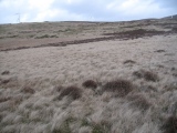 The Kirk Ring Cairn - PID:129523