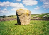 Goggleby Stone - PID:125821