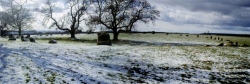 Long Meg & Her Daughters - PID:36227