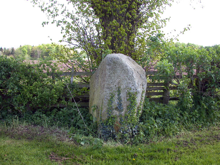Winderwath standing stoneThis stone stands by the lane leading to Winderwath, and its magnificent gardens.