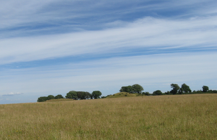 A couple of barrows on the ridge to east of previous view.  (East of Came Wood, near the Whitcombe road.)