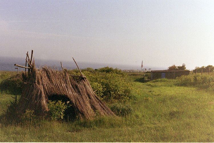 Culverwell Mesolithic Site