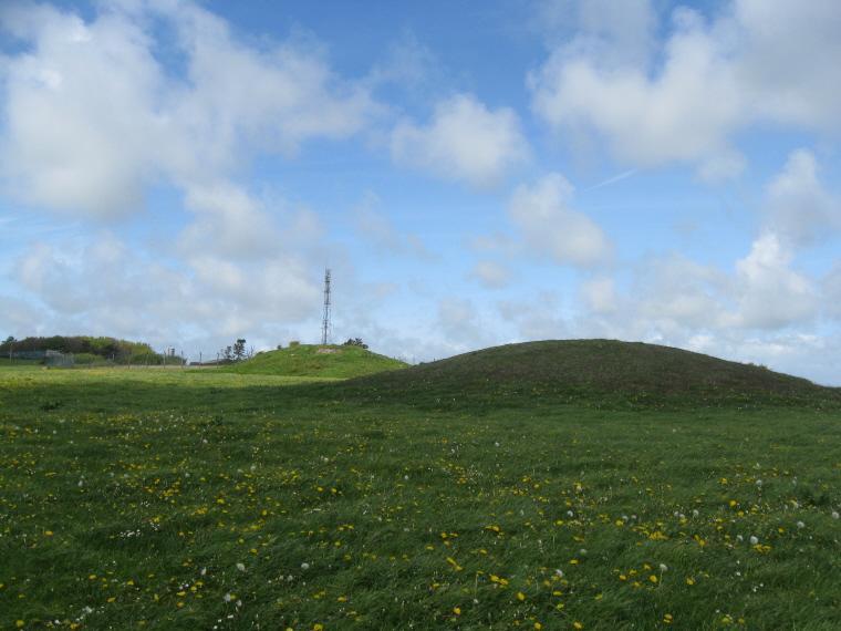 The two barrows which I'm calling Bincombe Down or Bincombe Barn (east), until someone else comes up with the right name!  View on approach in field.