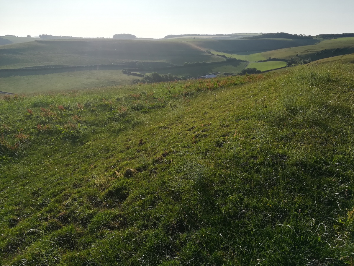 Tenants Hill enclosure