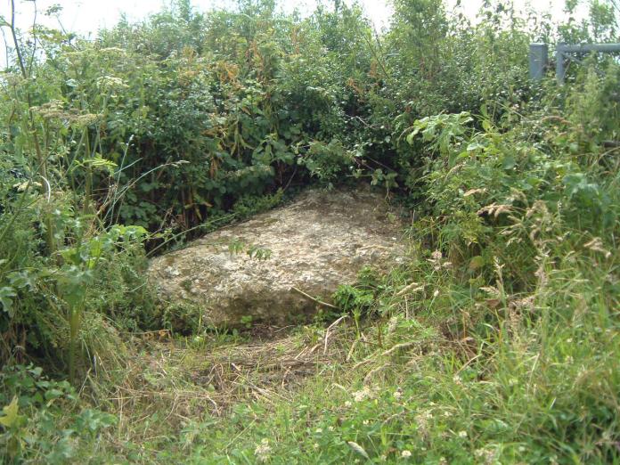 SY 588867
Moot Stone lying on a possible processional way linking sites centred round Grey Mare & her Colts. It lies just by the track leading to Gorwell Farm by the public footpath between Grey Mare & her Colts and Kingston Russell Stone Circle. It is roughly triangular and measures about 5' across and 1' thick. 