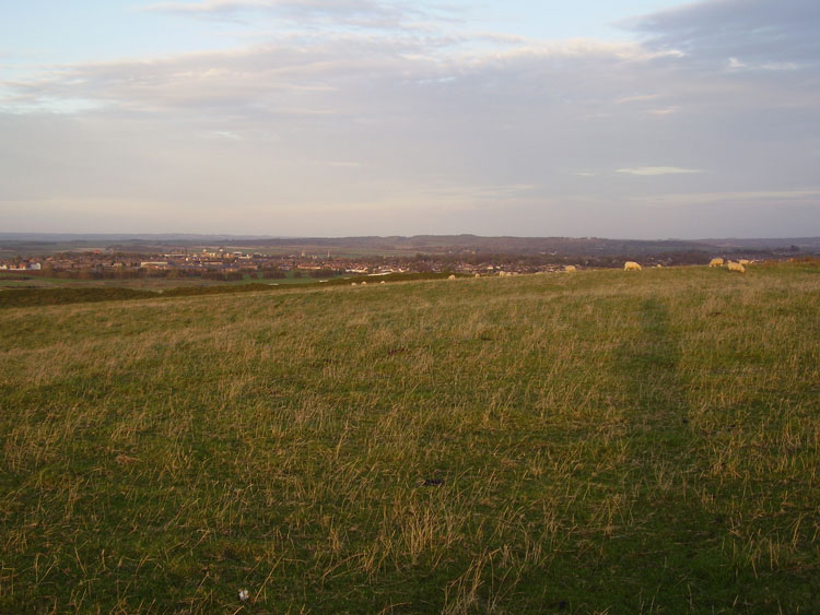 Maiden Castle Bank Barrow