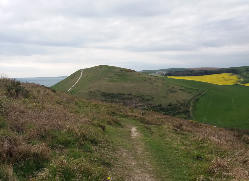 View to Hambury Tout from the climb up to Bindon Hill. Remains of some of the barrows can be seen on top. 