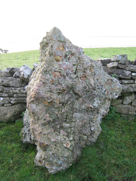 Portesham Stone 3. October 2010