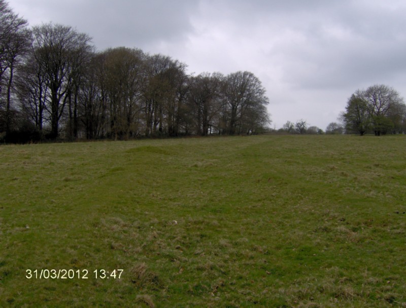 Banked track looking N from ST807086.