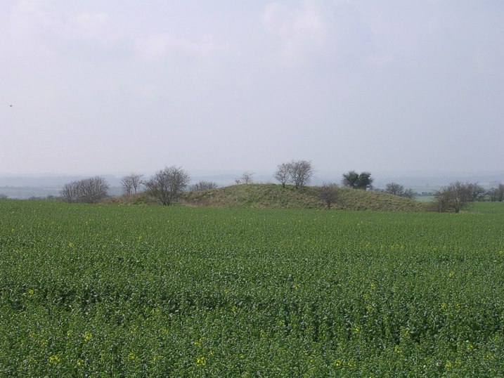 April 2005. An oblique view of the Gussage Down southern long barrow from the junction of bridleways to the east. The profile of the barrow is not smooth, but has a 