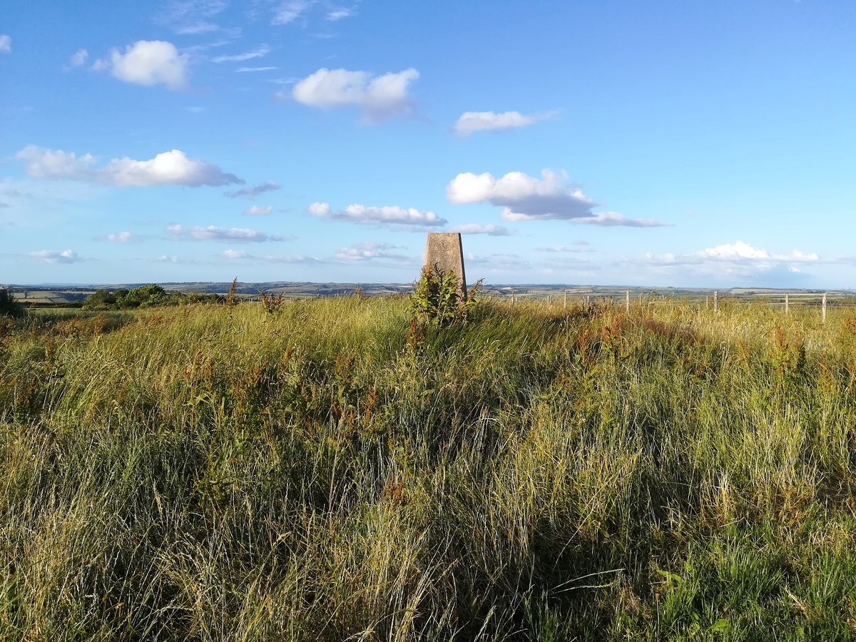 The Trig point Tumulus at SY54639443