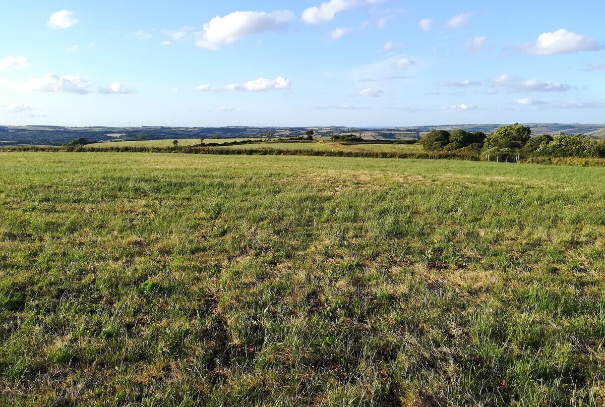 The low bank of a Saucer barrow is found at SY54649449