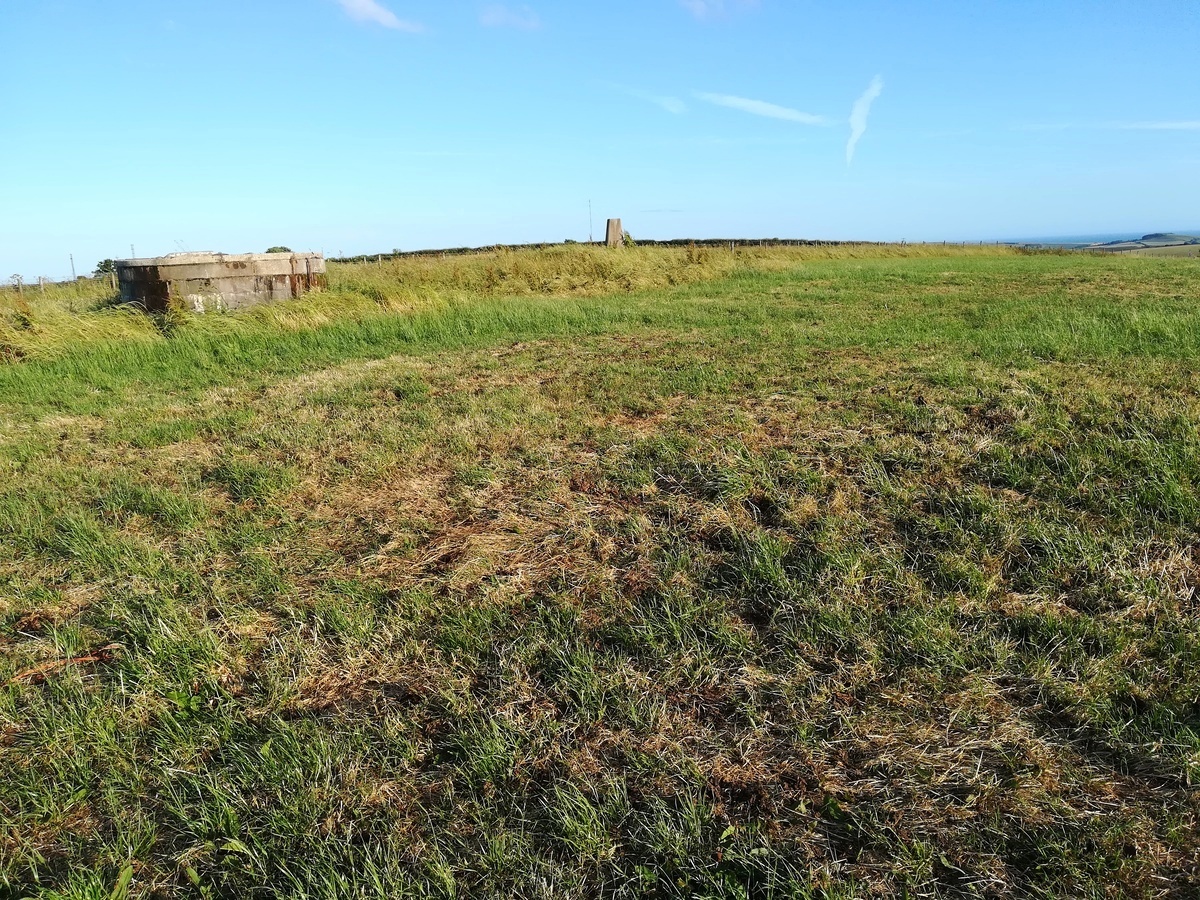 The Tumulus found at SY54629445 with the Trig point Tumulus at SY54639443 behind it in the photo