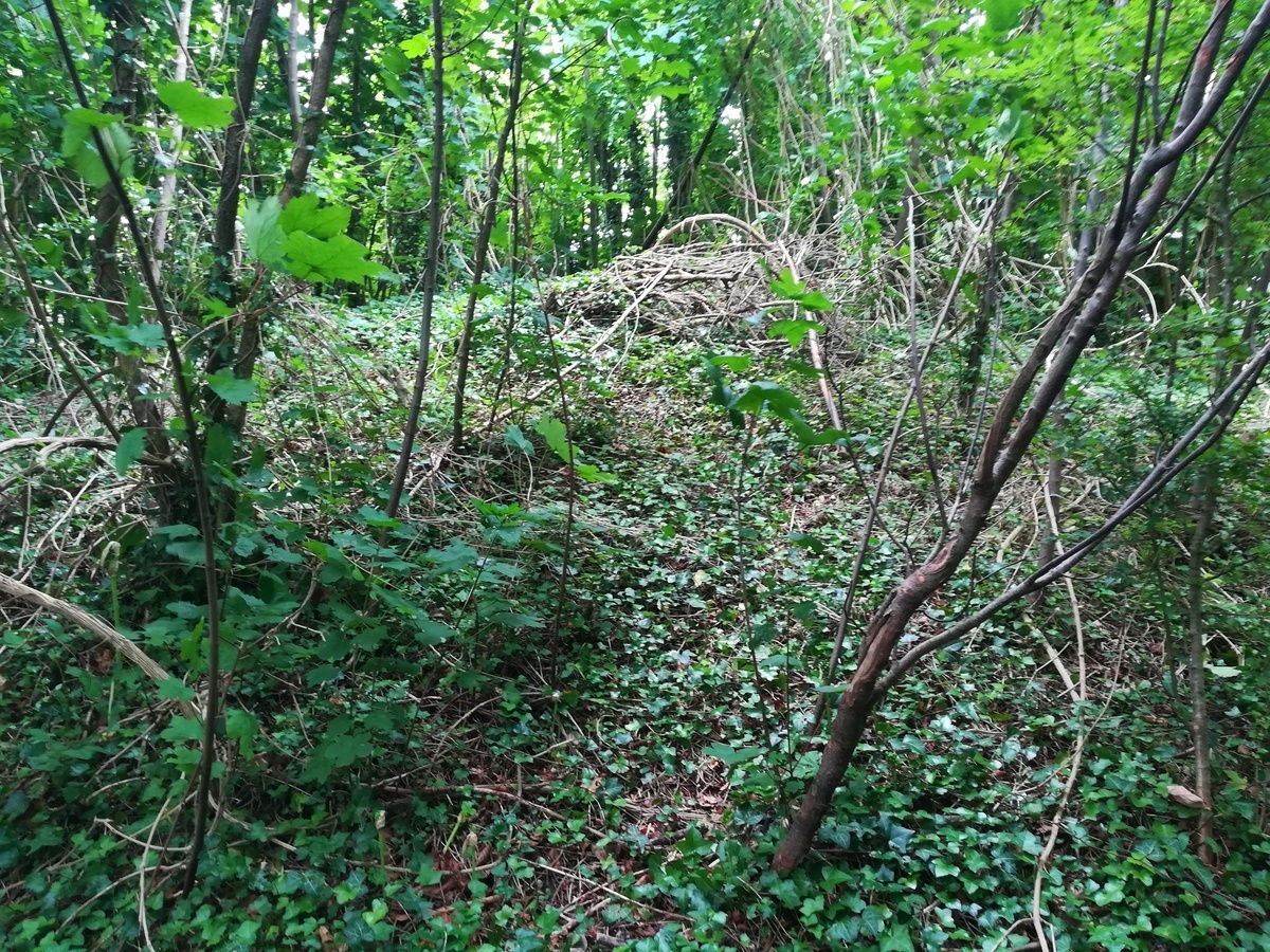 The overgrown Conquer Barrow