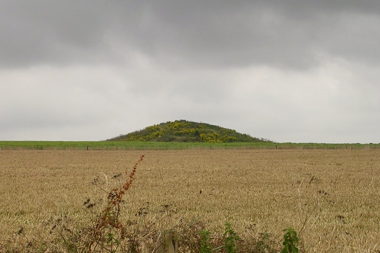 Looking north at the most prominent barrow of the cemetery, from the edge of the Maiden Castle visitors' car park. The barrow can also be seen from the nearby Dorchester by-pass, a few weeks earlier I was passing by and the barrow seemed to be stood amid a sea of blue cornflower.