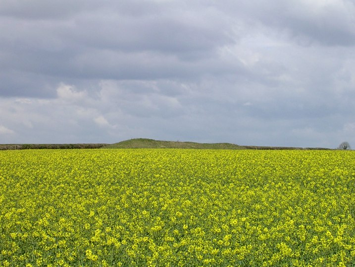 Pimperne Long Barrow