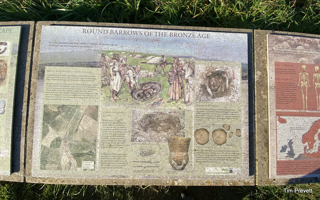 One of the interpretation panels detailing the archaeology of the immediate area - including a round barrow adjacent the site of 50 plus Viking executions at the hands of Anglo Saxons in a disused Roman quarry on the east side of the Roman Road from Weymouth to Dorchester - now the Weymouth Relief Road. Considerate parking near the bridge over the A354 to the west of Bincombe Down. Interpretation 