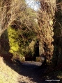 St Augustine's Well (Cerne Abbas) - PID:161186