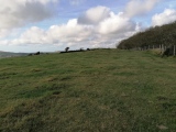 Knowle Hill Barrows - PID:233539