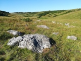 Valley of Stones quarry - PID:260079