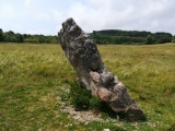 Kingston Russell Standing Stone - PID:260019