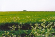 Maiden Castle Barrow Cemetery - PID:40068