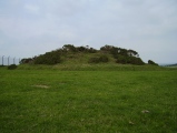 Bincombe Barrows - PID:36068