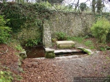 St Augustine's Well (Cerne Abbas) - PID:11304