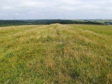 Long Bredy Bank Barrow - PID:269997