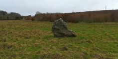 Kingston Russell Standing Stone - PID:269330