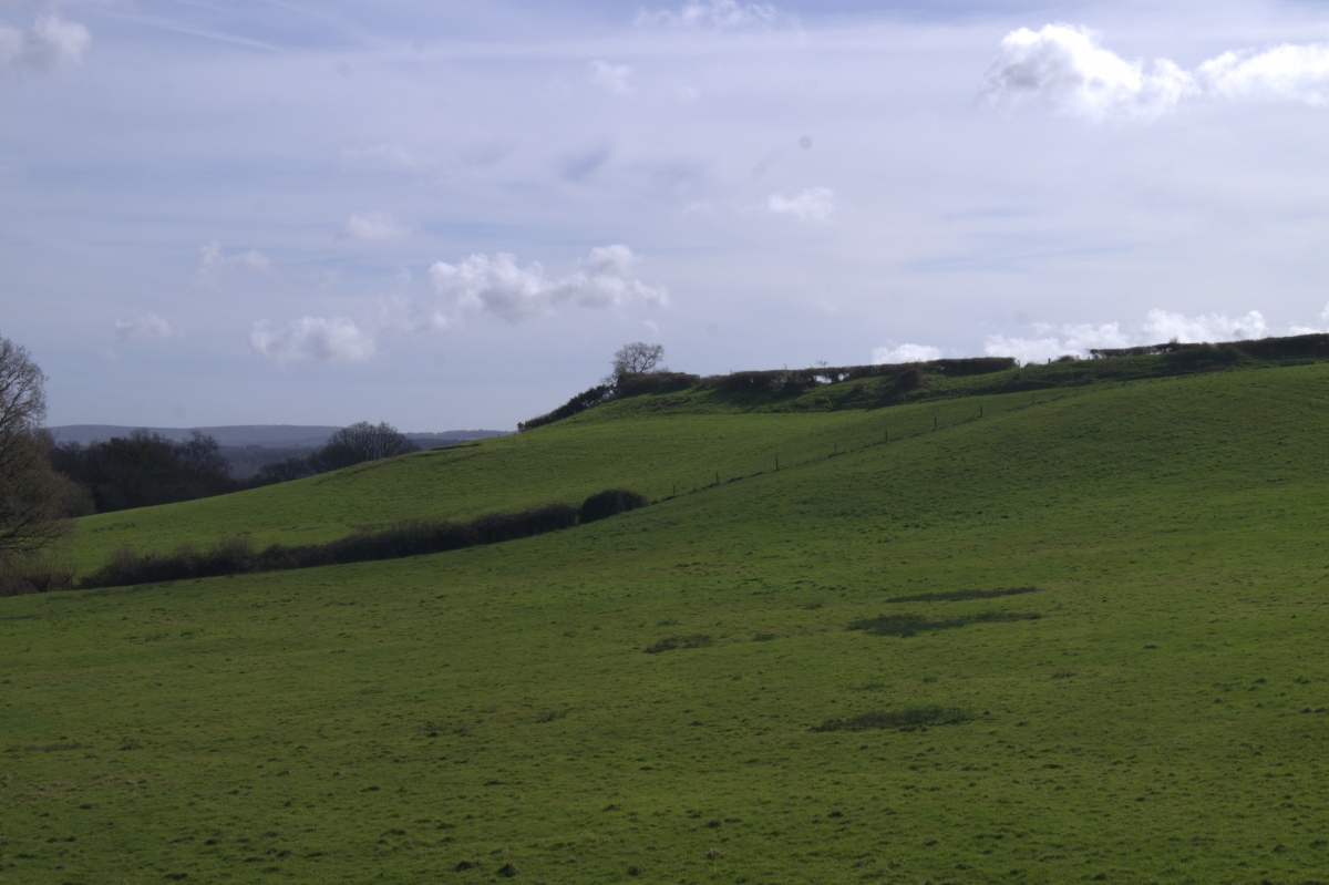 The hillfort from the north-east footpath from Bere Wood.