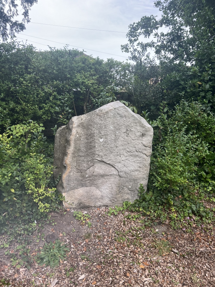 The second  stone at Max Gate - Almost certainly from the neolithic enclosure ( was buried 6 feet  below surface)