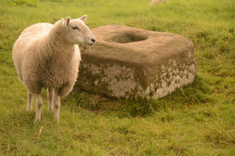 Christening Stone (Cotherstone)