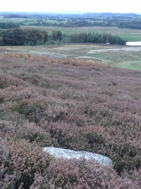 Barningham Moor 98