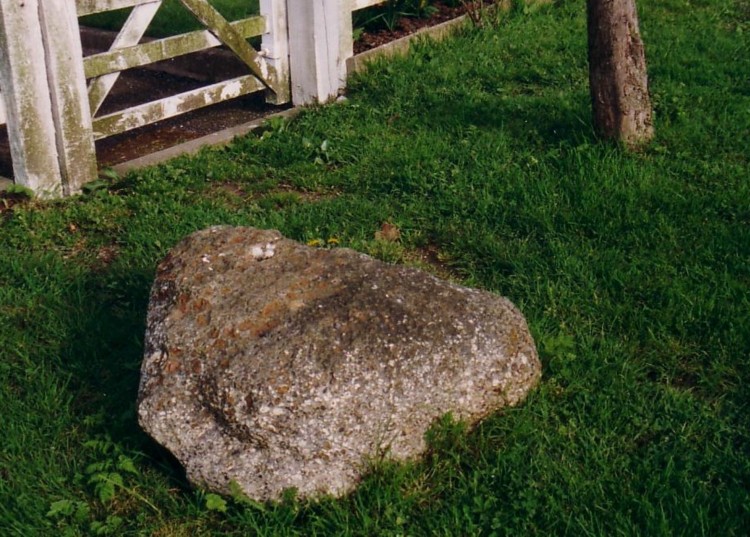 Holyfield Puddingstone