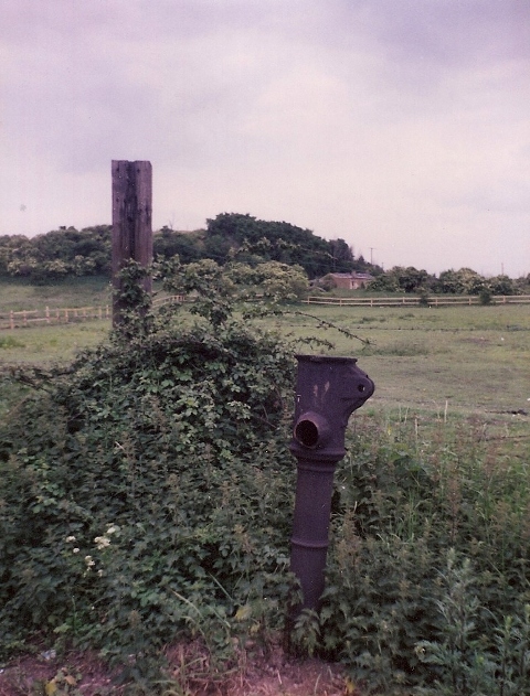 The battered pump is all that is visible of this ancient spring. 