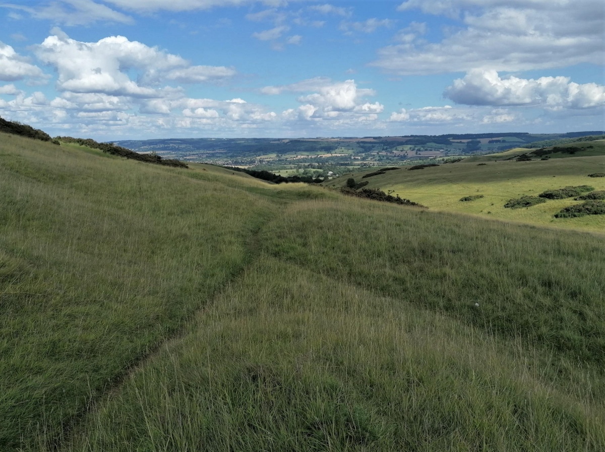 The Cross Dyke on the southeastern side of the hill, running down into the valley to Postlip